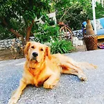Szálloda L'onda 3*
